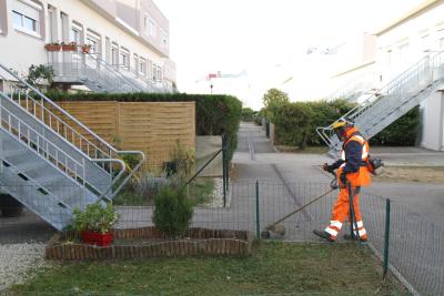 Illustration Entretien et aménagement d'espaces verts